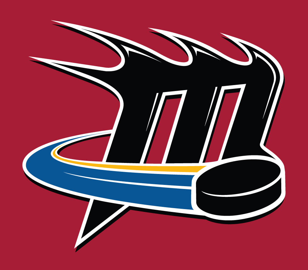 Lake Erie Monsters 2007-2012 Alt on Dark Logo iron on transfers for T-shirts